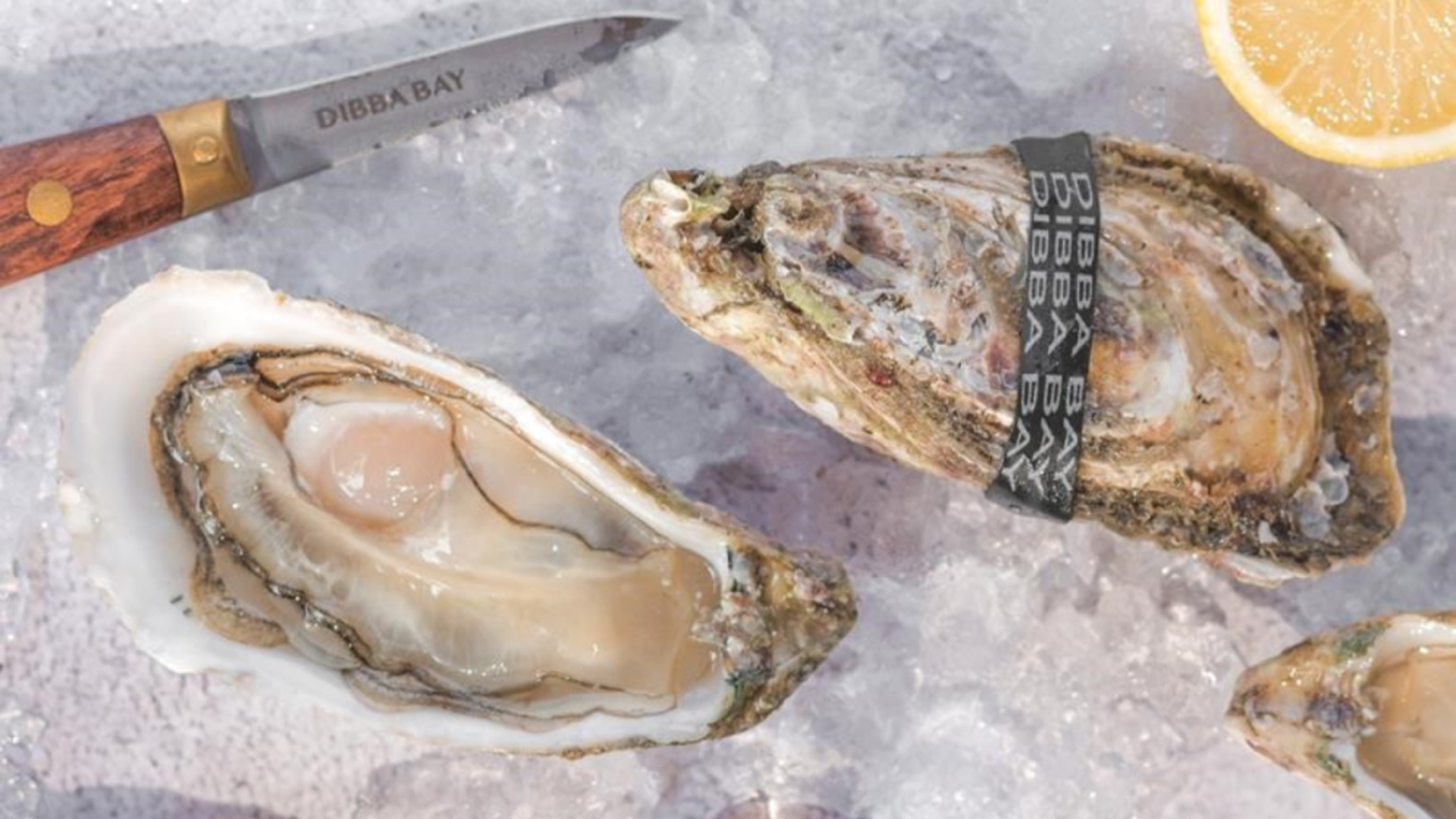 UAE oyster farm Dibba Bay holds second annual oyster festival Gault